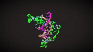 Zinc Finger - DNA Nonspecific Binding