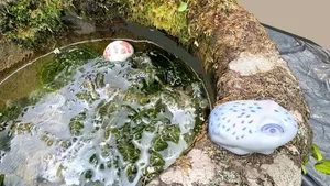 stone bucket in the garden of the house