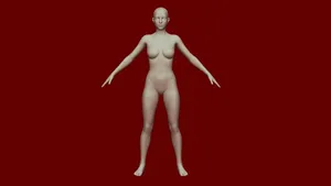 Women/Female Body Base Rigged
