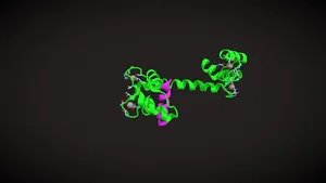 Calmodulin Binding a Peptide - Animation