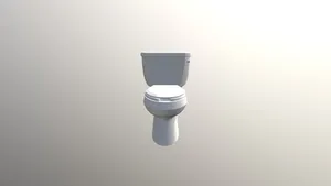 Wellworth Classic Toilet With Seat