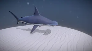 Great Hammerhead Shark