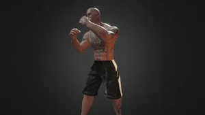Boxer 3D - Human Riged Model