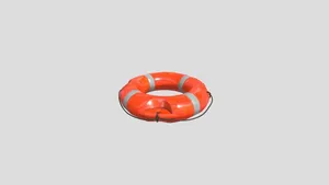 lifebuoy