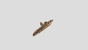 Hair Clips and Children’s Toys