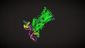 Lac Repressor with Anti-inducer ONPF and DNA