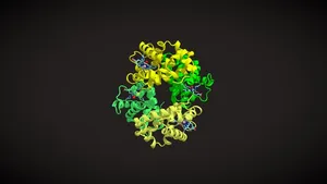 Hemoglobin - T to R state animation