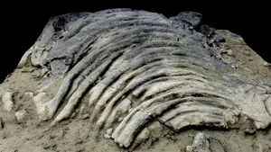 Lava flow