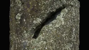 Rongo stone closeup