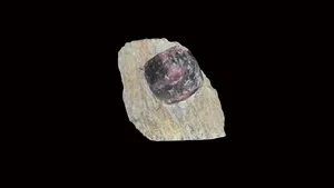 Garnet crystal in schist