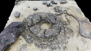 Lava tree cast at Takapuna 2