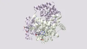 Woolly Mammoth Haemoglobin