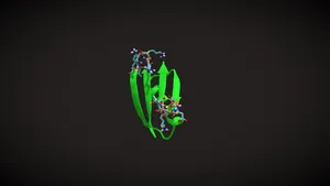 Beta Hairpin from Protein G
