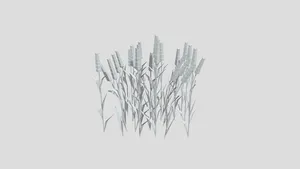 Field of wheat from Poly by Google
