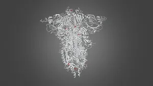 SARS-CoV-2 Spike Protein Molecular Structure