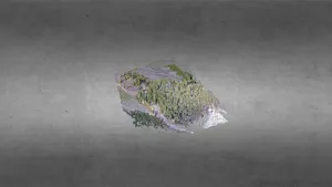 Bragg Creek 26 Sept 17 - 3D Mesh