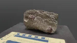 Garnet Schist