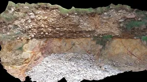 Discordance sortie géologie (Manche)