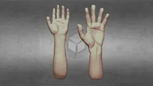 Hand Sculpts