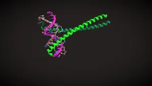 DNA - Protein Complex, nonspecific interactions