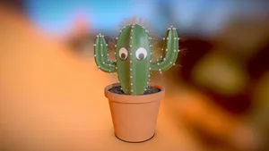 3December 2020 - A cactus with googly eyes
