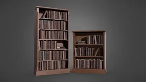 Wooden Bookcases with Books