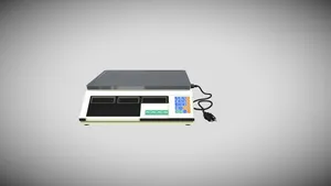 Electronic Scale