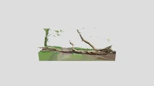 Scan 2023-05-04T14:29:47.189Z