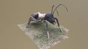Ant Statue (photogrammetry)