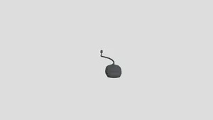 Computer Mouse