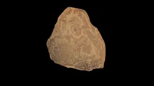 Terracotta Figurine Fragment (VCU_3D_2114)
