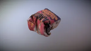 carbon photogrammetry bag low poly