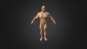 Arnold Schwarzenegger T Pose