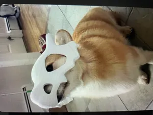 Cubone Skull - Wearable for your dog