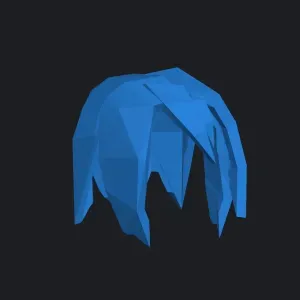 Dummy 13 Hair