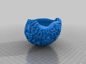 Brain coral skeleton bowl/planter