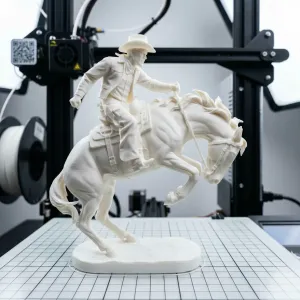 Wild Frontier Bronco Rider