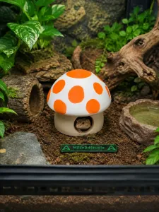 Toadstool Mushroom Pet House