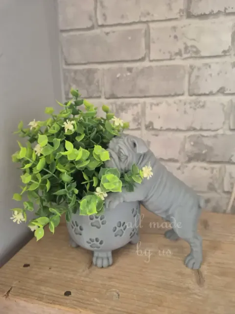Happy pot English Bulldog
