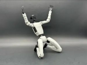 Unitree Robotics