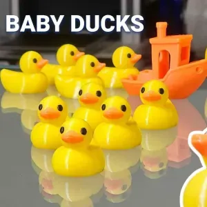 Baby Ducklings