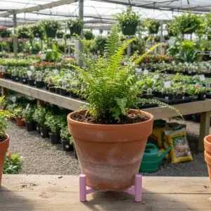 Plant pot bases