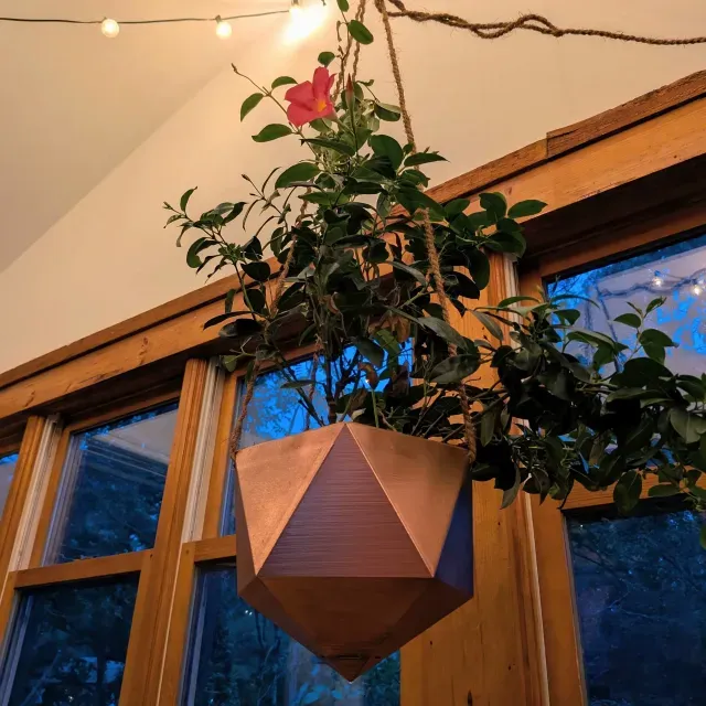 Icosahedron Hanging Planter