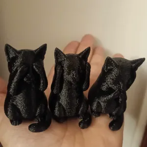 The three wise cats