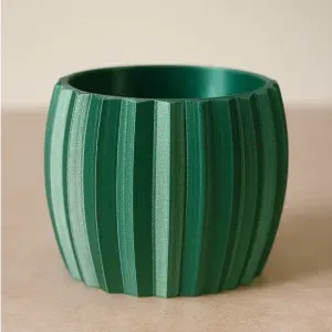 Cactus Planter