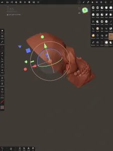 Flat skull