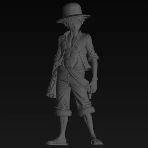 one piece model