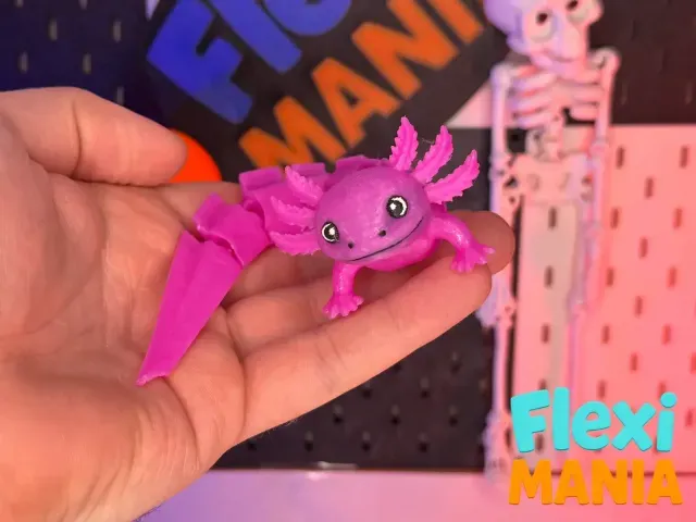 Flexi Axolotl | One-Piece Articulated Axolotl Cute — Image 2 of 4