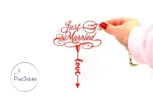 JUST MARRIED CAKE TOPPER