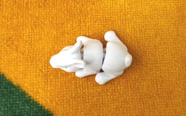 Micro Rabbit — Image 8 of 9
